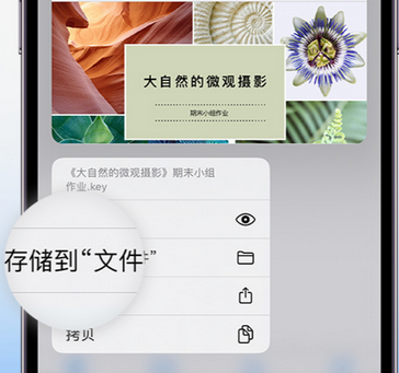 西流河镇apple维修中心分享iPhone文件应用中存储和找到下载文件