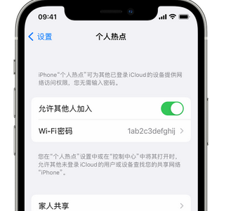 西流河镇apple服务站点分享iPhone上个人热点丢失了怎么办 