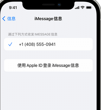 西流河镇apple维修iPhone上无法正常发送iMessage信息