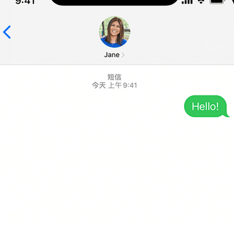 西流河镇apple维修iPhone上无法正常发送iMessage信息