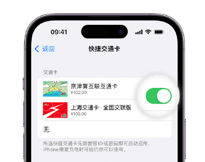 西流河镇apple维修点分享iPhone上更换Apple Pay快捷交通卡手绘卡面 