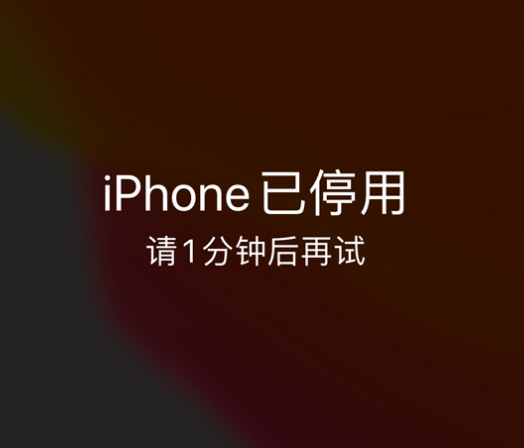 西流河镇苹果手机维修分享:iPhone 显示“不可用”或“已停用”怎么办？还能保留数据吗？ 