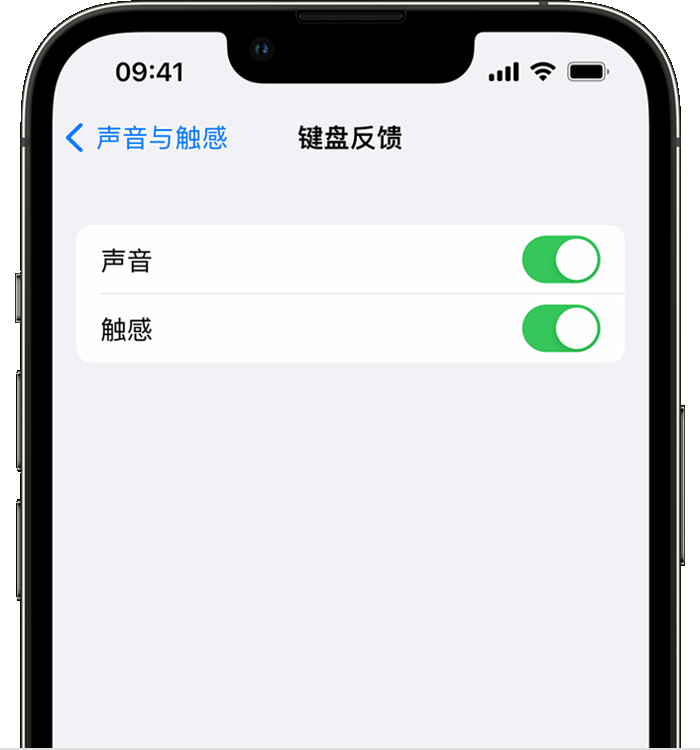 西流河镇苹果14维修店分享如何在 iPhone 14 机型中使用触感键盘 