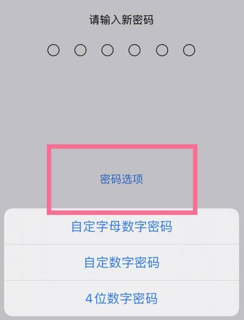 西流河镇苹果14维修分享iPhone 14plus设置密码的方法 