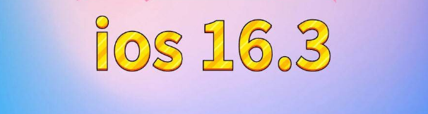 西流河镇苹果服务网点分享苹果iOS16.3升级反馈汇总 