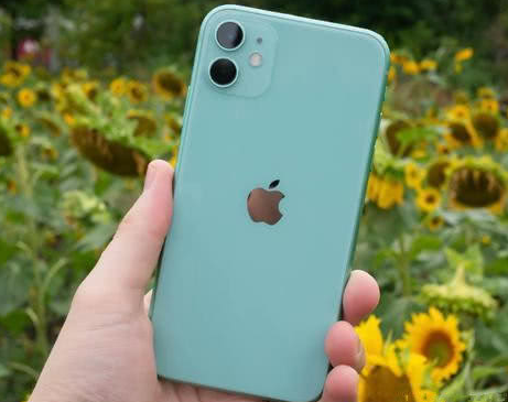西流河镇苹果维修点分享iPhone 11锁屏密码认知与使用科普 